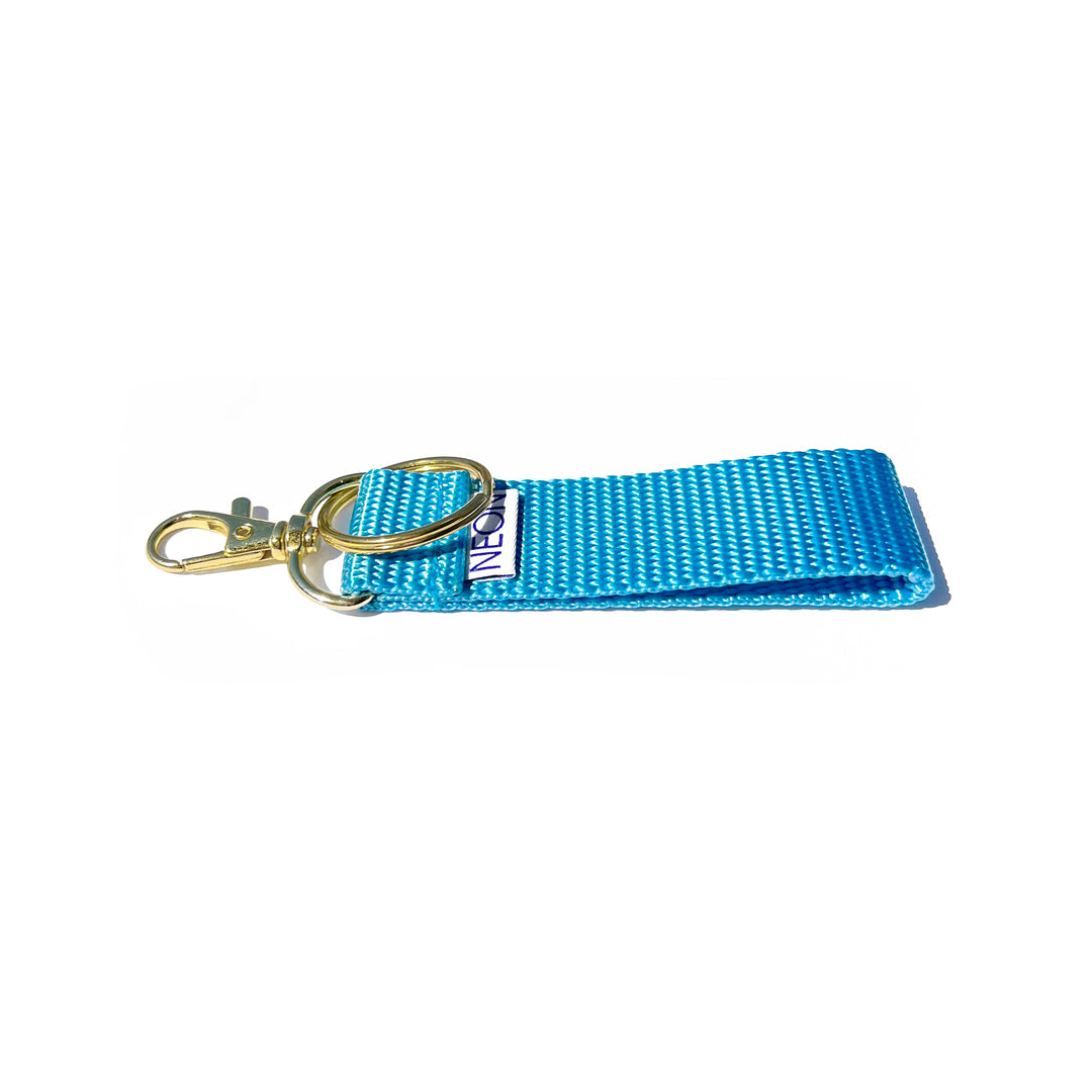 Clip-on Keychain | sky blue